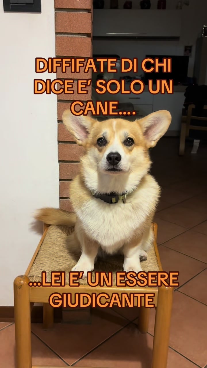 @Nadine Salomoni