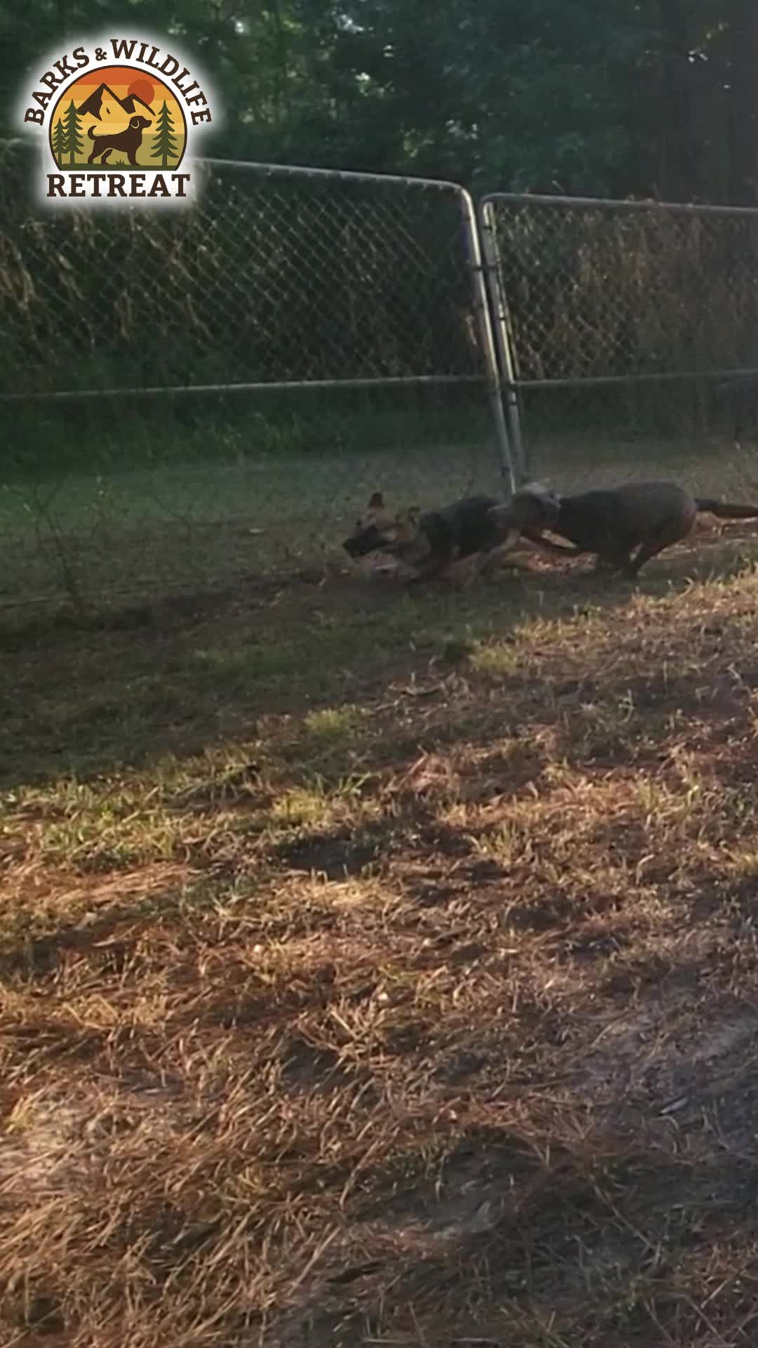 @Barks & Wildlife Longville LA