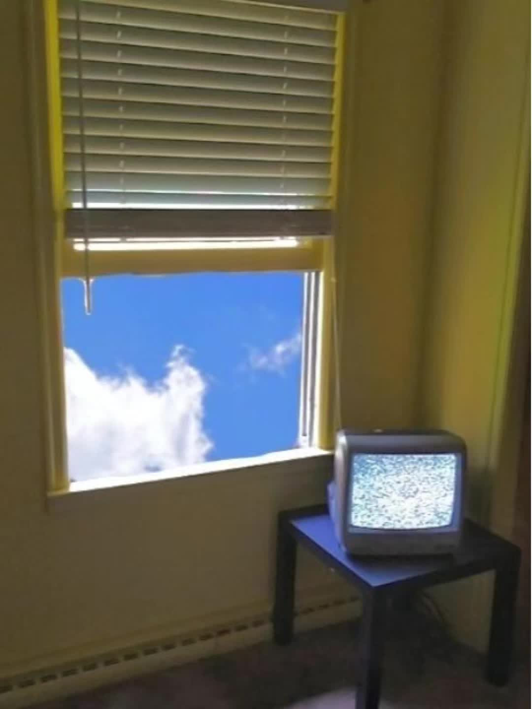 @𝙳𝚛𝚎𝚊𝚖𝚌𝚘𝚛𝚎 𝚅𝚒𝚋𝚎𝚜