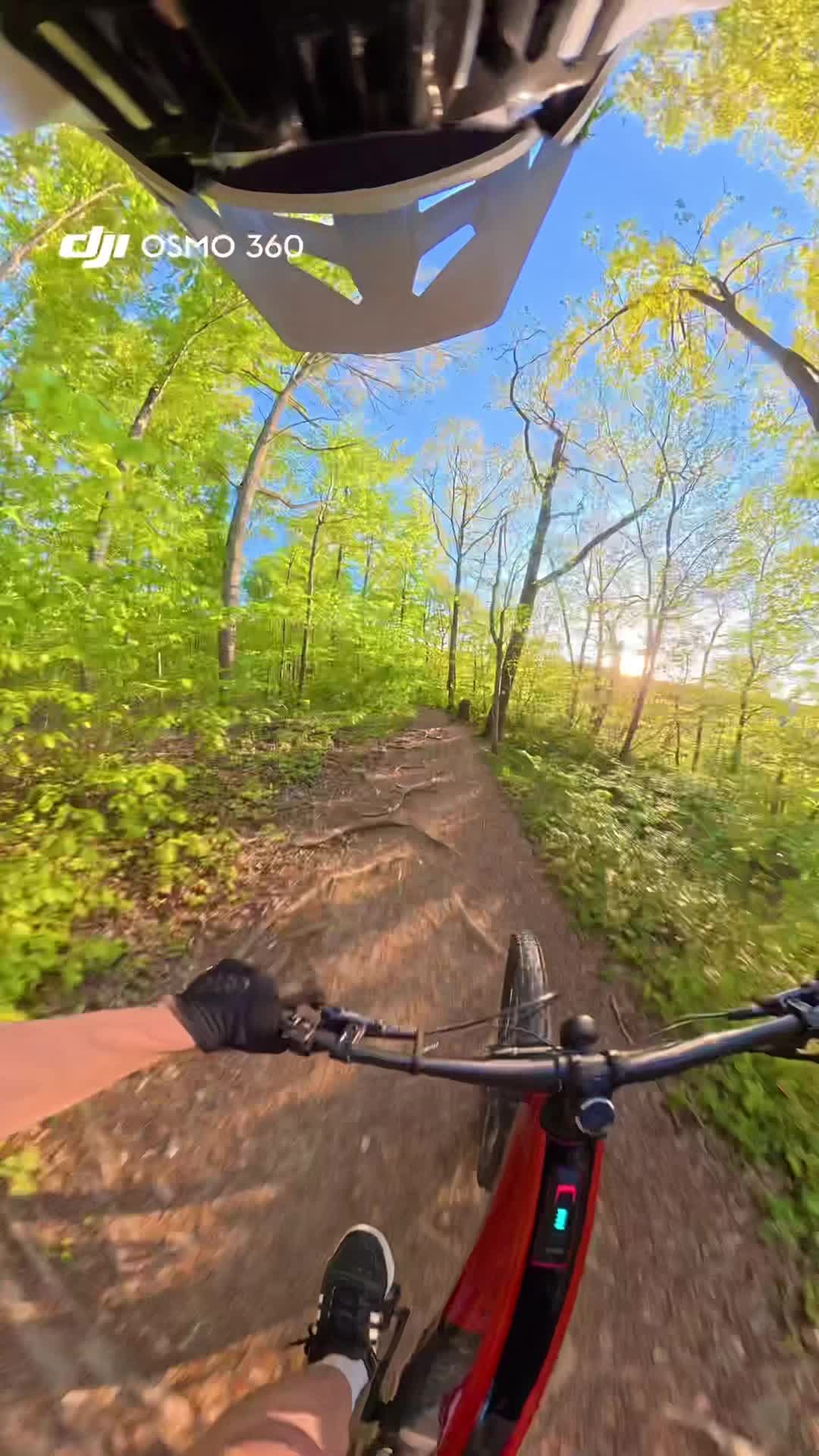 @Luca.mtb🇩🇪🦅✝️
