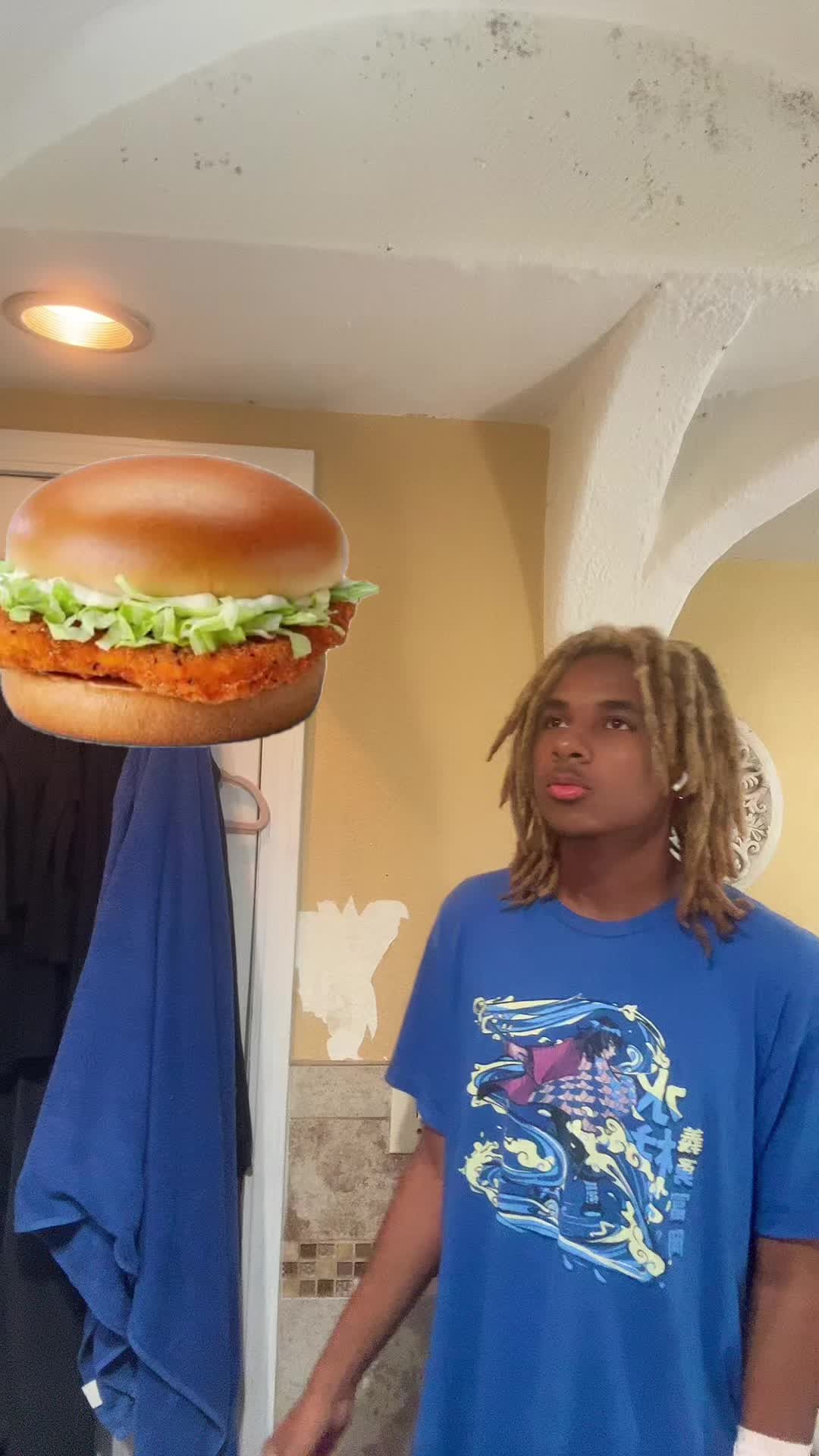 @ohbabyilovemcchickens