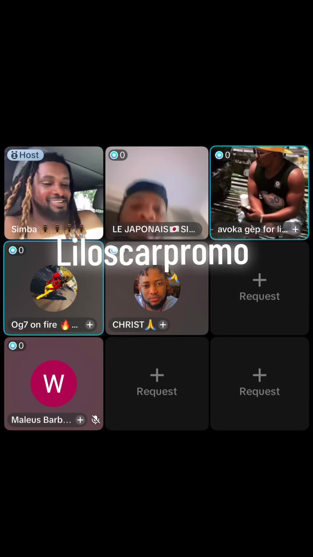 @Liloscarpromo