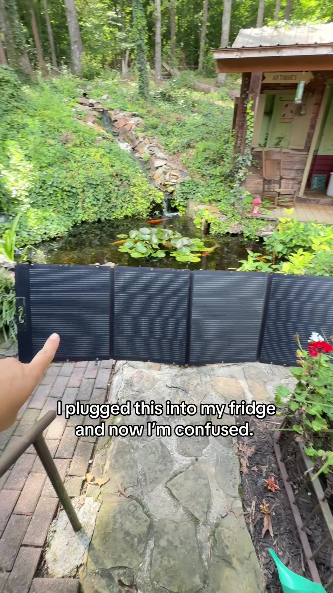 @Julia Erman