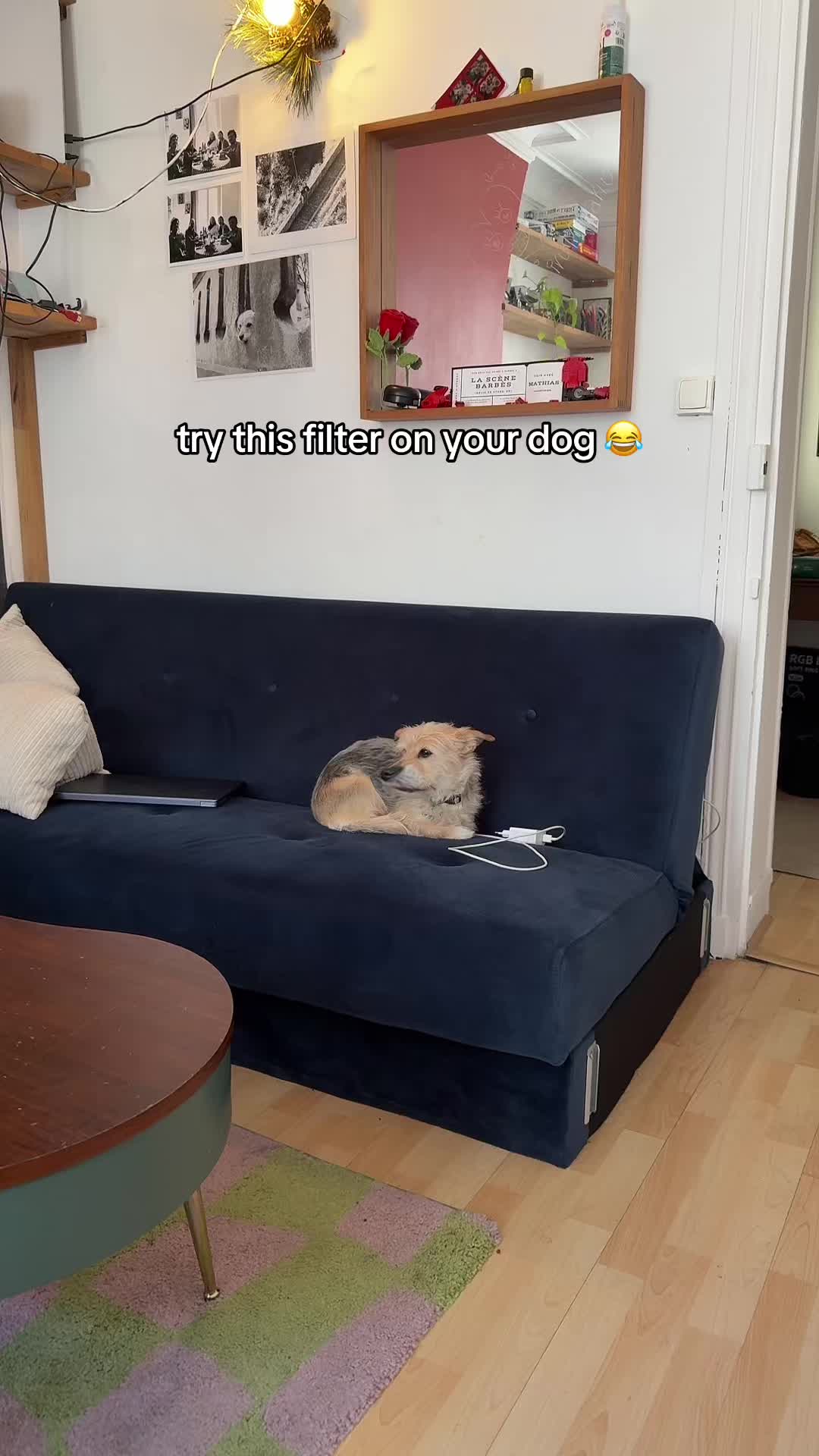 @notvictor