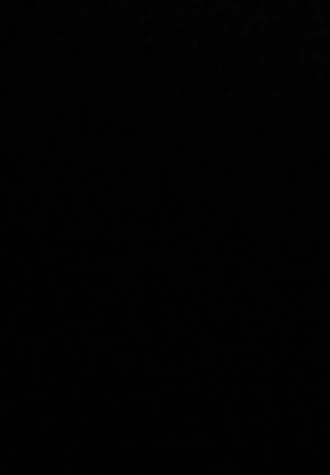 @یُـوسَــف
