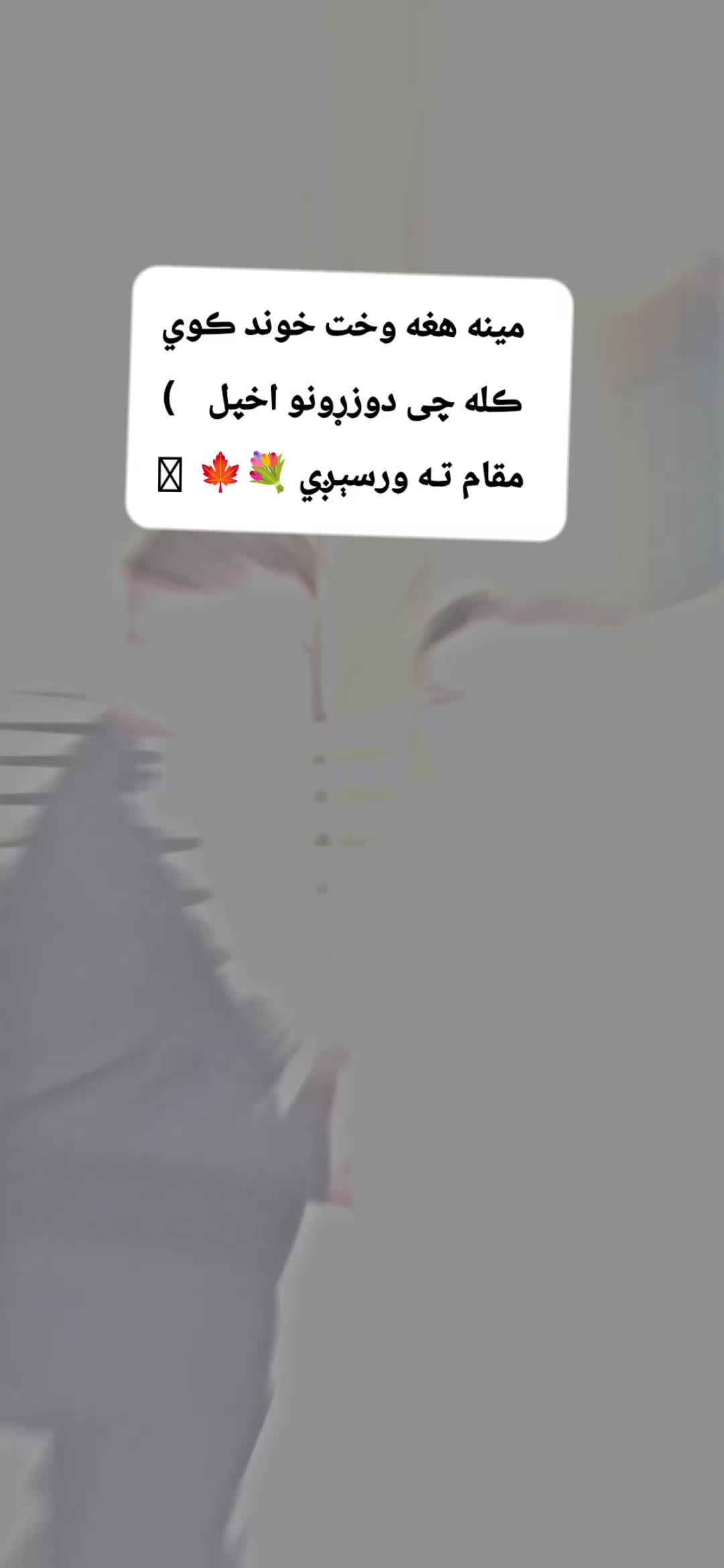 @💔🌿Laghmani