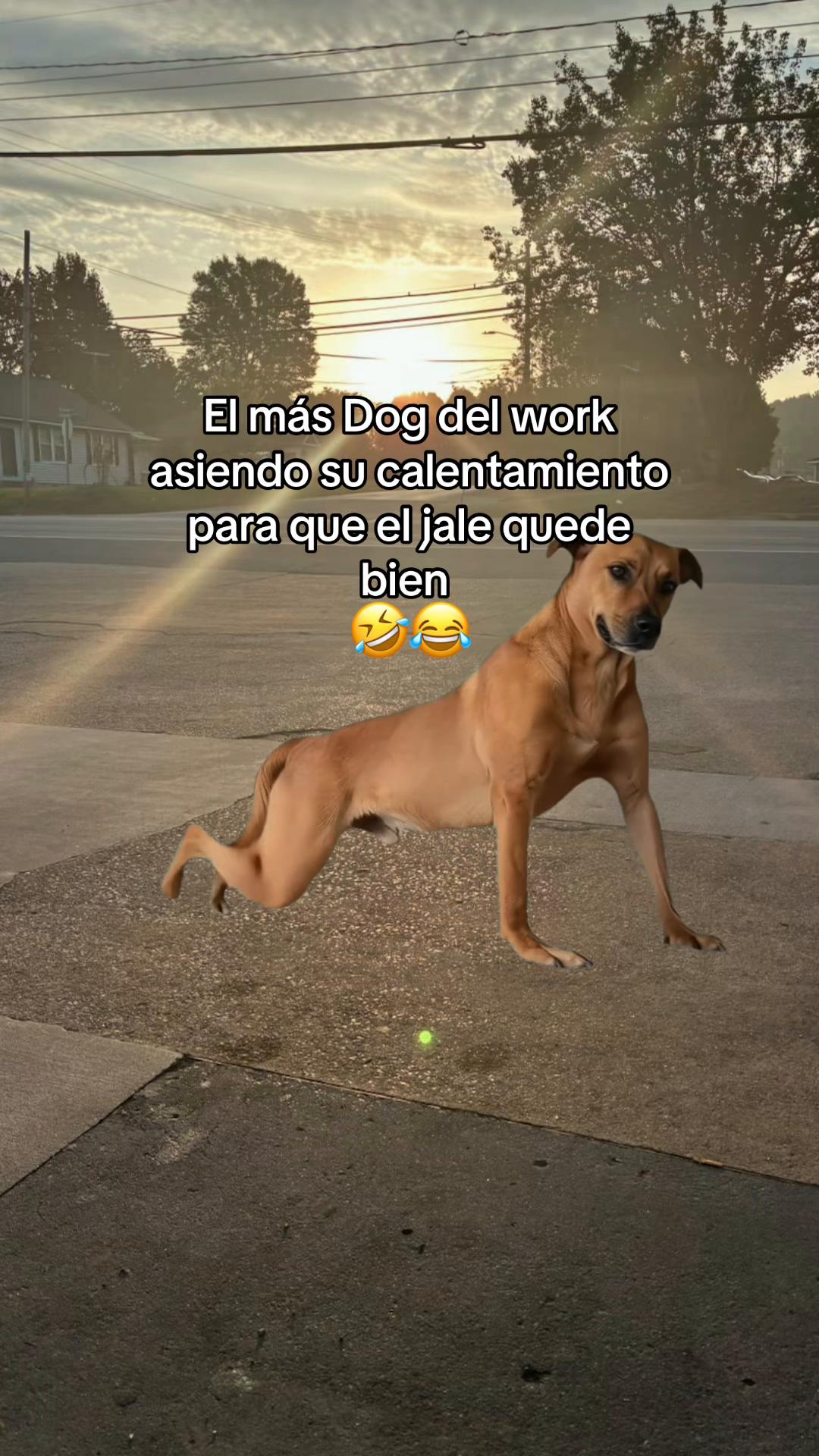 @🙇🏻Juven🧃🇬🇹