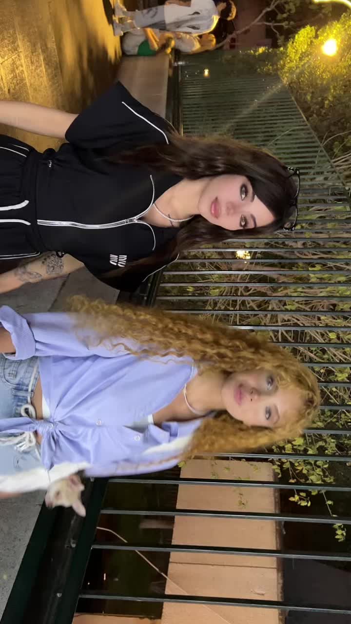 @momysadaf