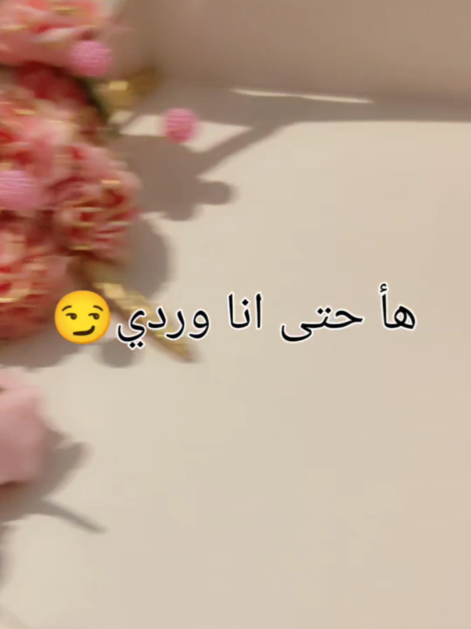 @hanocook