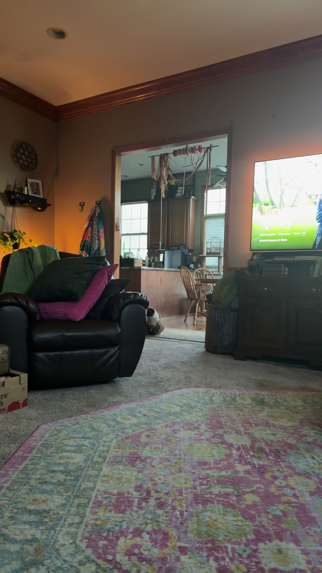 @Iowamom