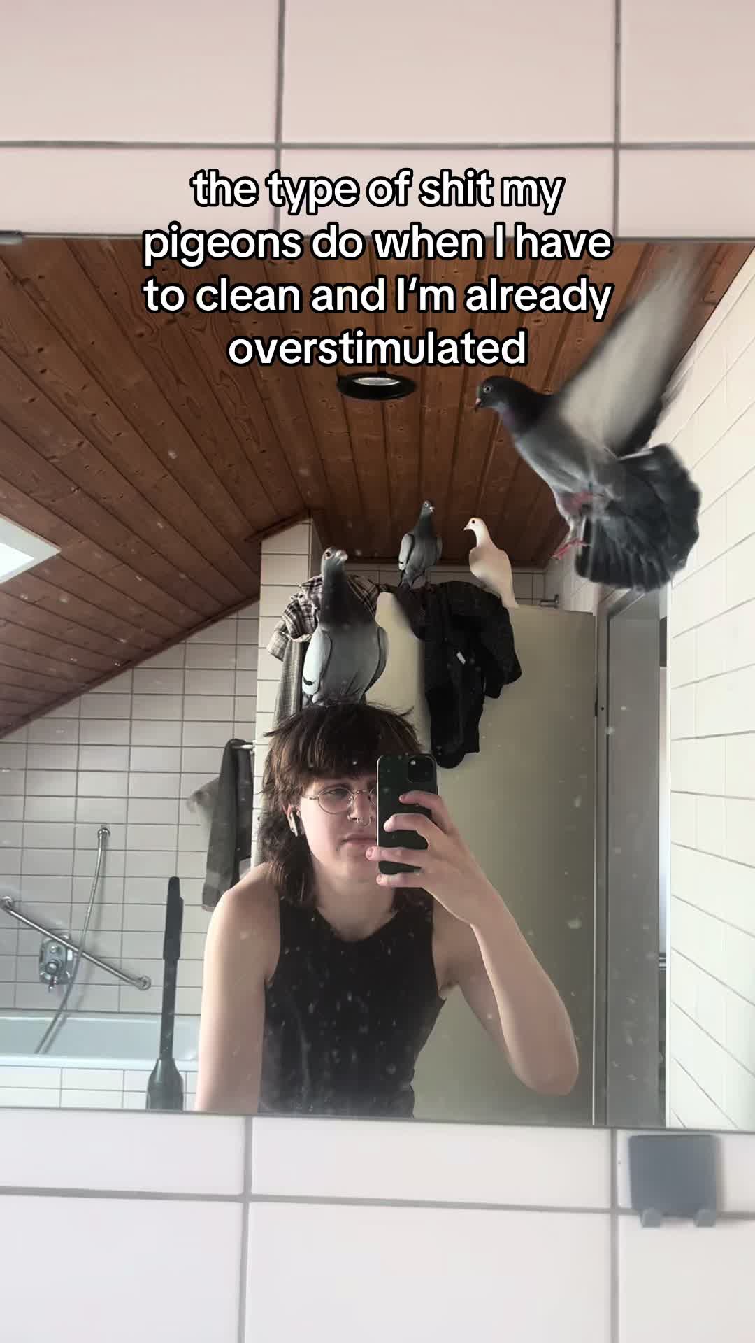 @Lisa‘s Pets