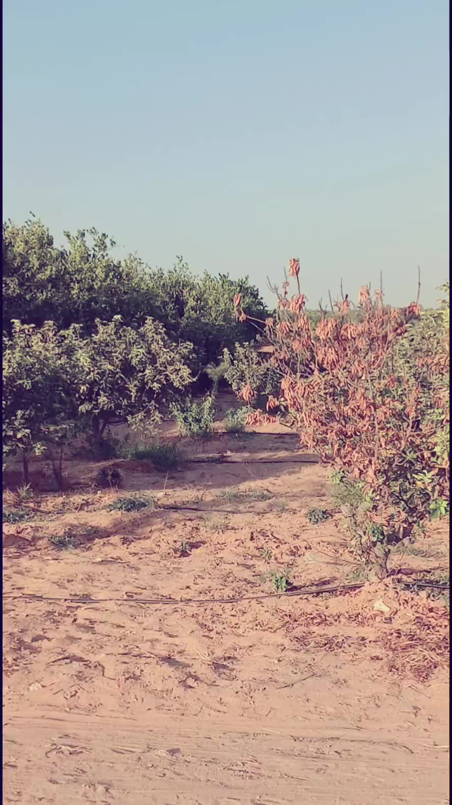 @MONTASSAR๐ค๐