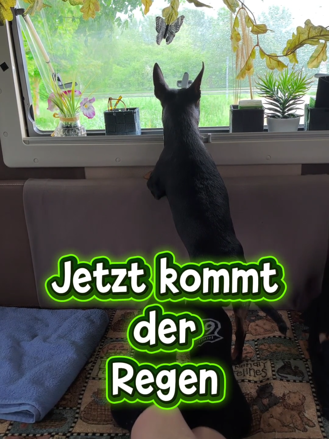 @ICH BIN'S