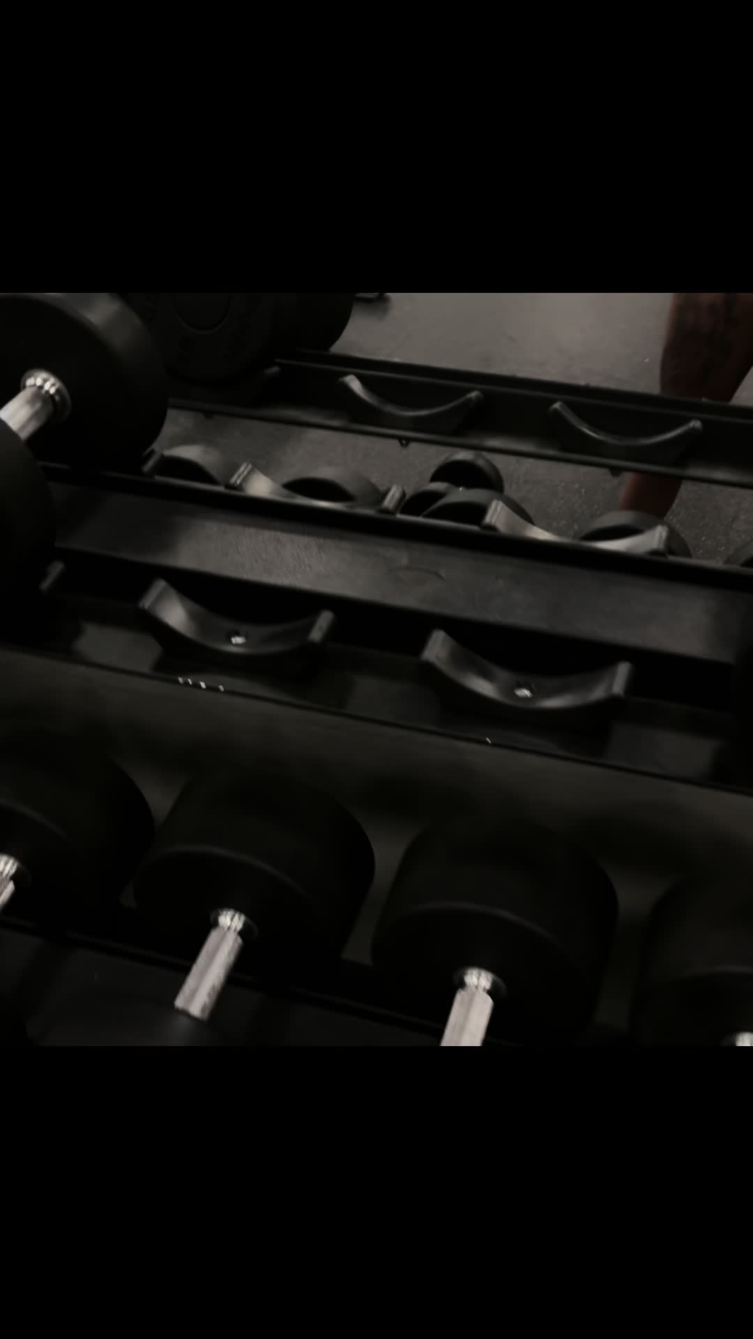 @Ecstasy| Fitness & Lifestyle