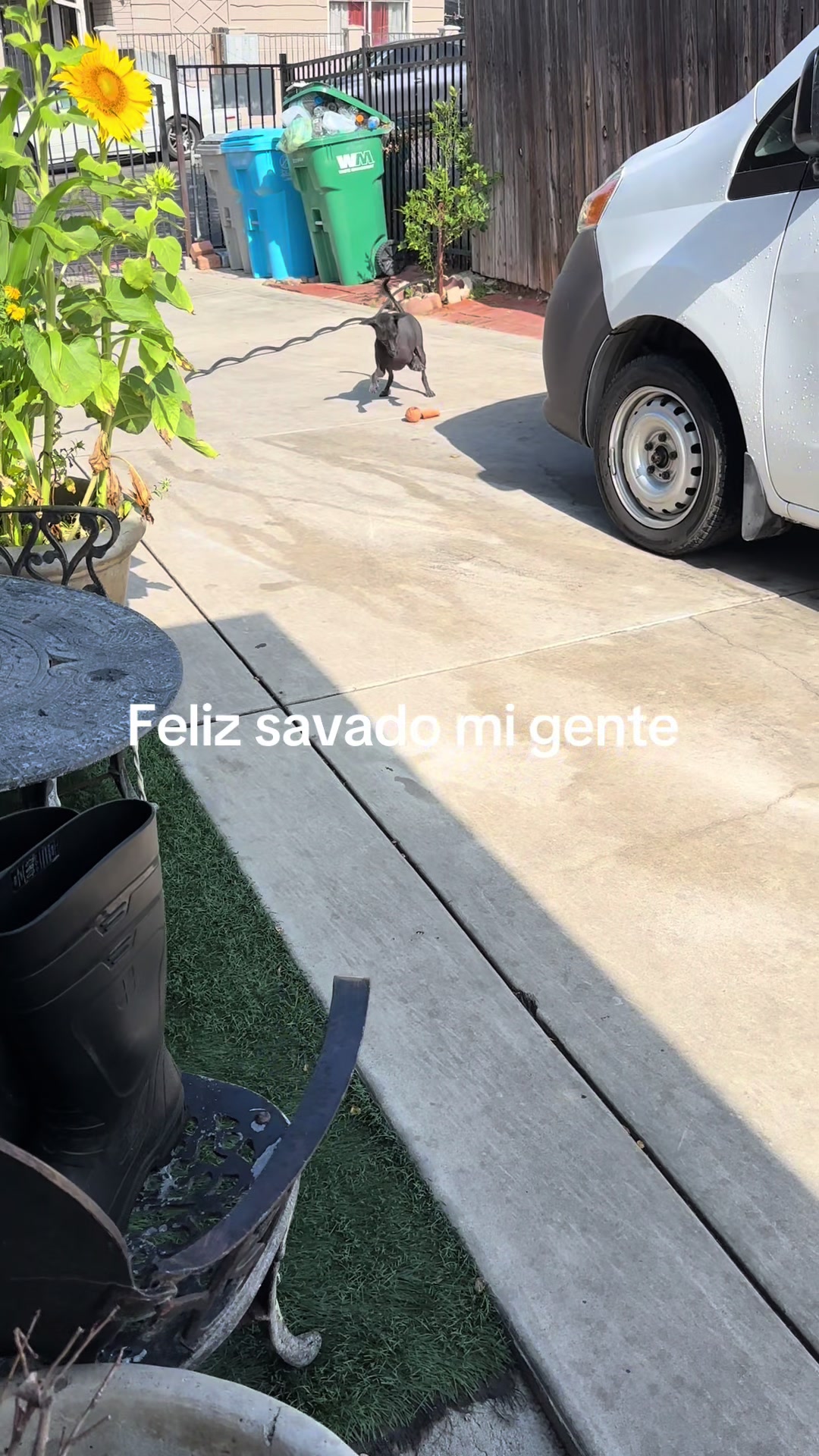 @Elcharitoopemex