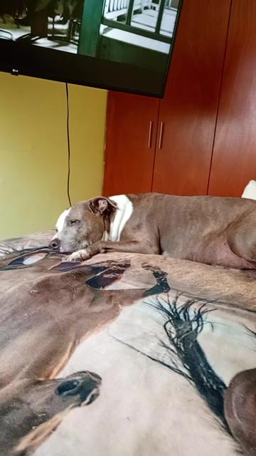 @CAZZU LOCA💪🤜✌
