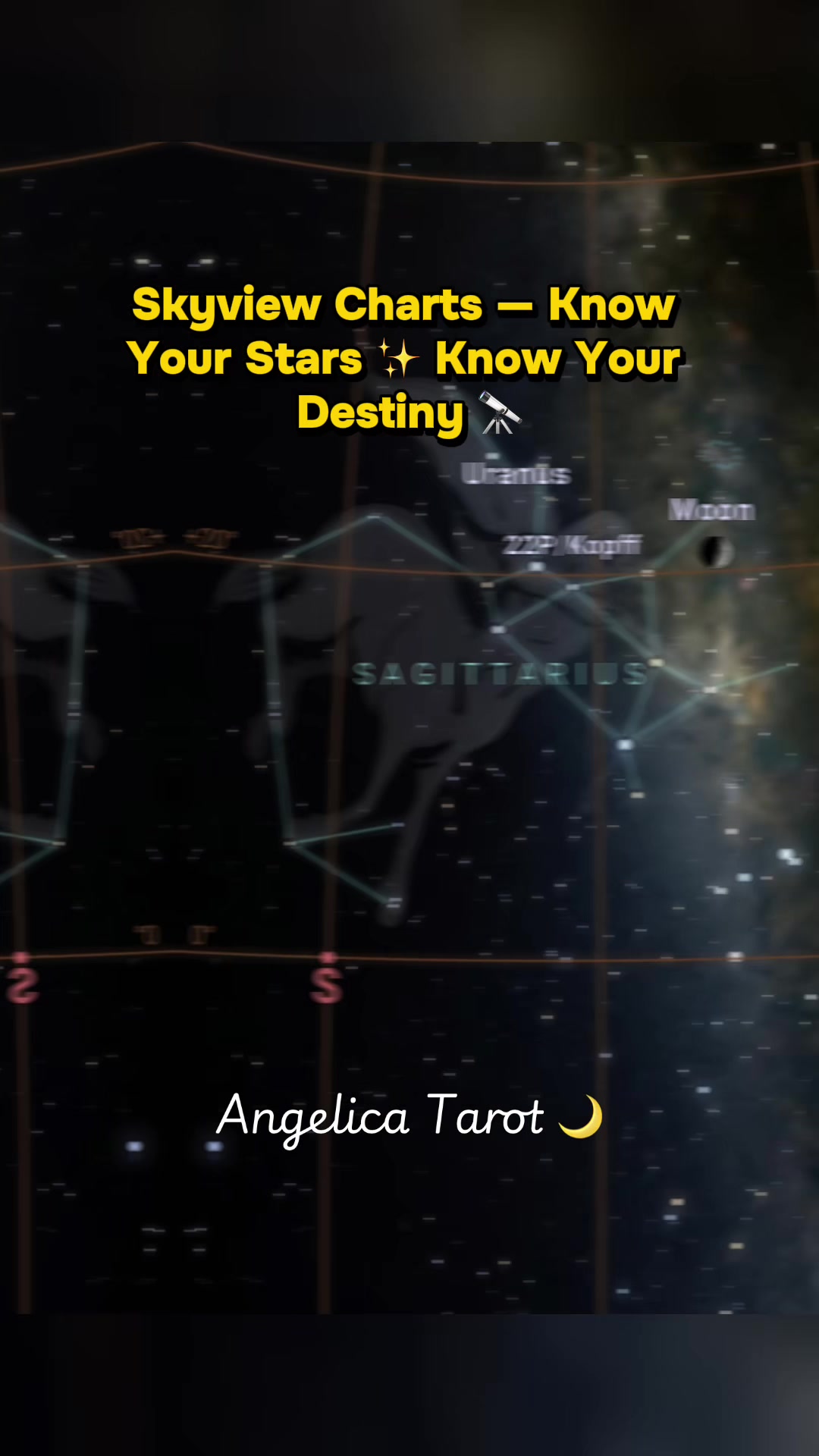 @Angelica Tarot Ocean Priestess