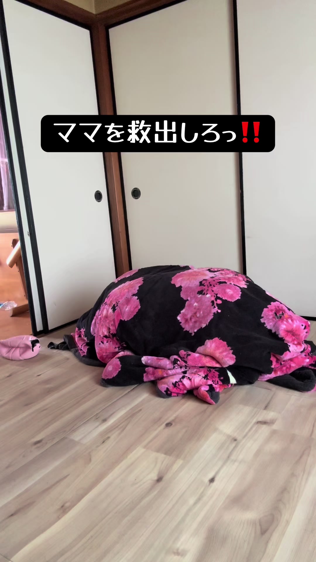 @🐣DOBERMAN🩷DORUMA