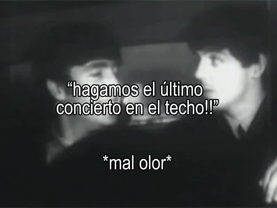 @ale ୭ ᵎᵎ 🪲