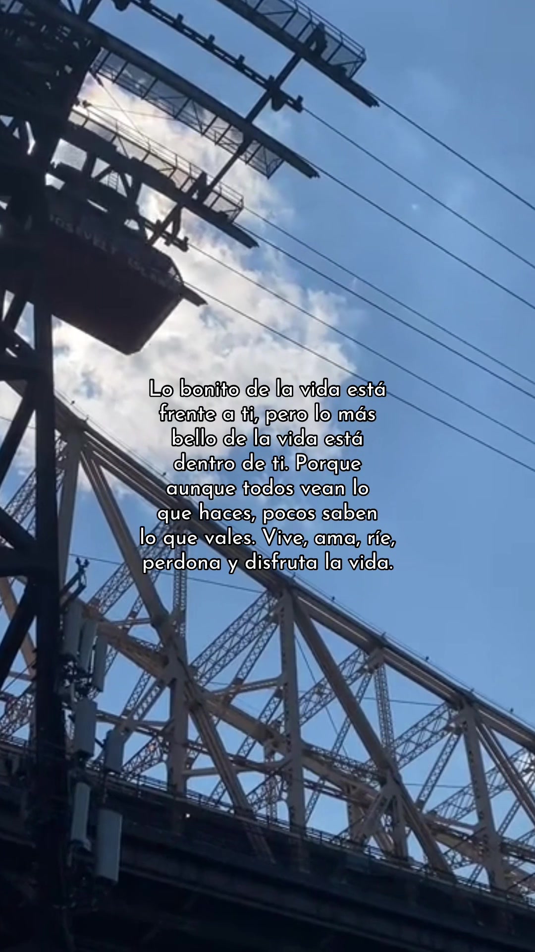 @Liliana Merino