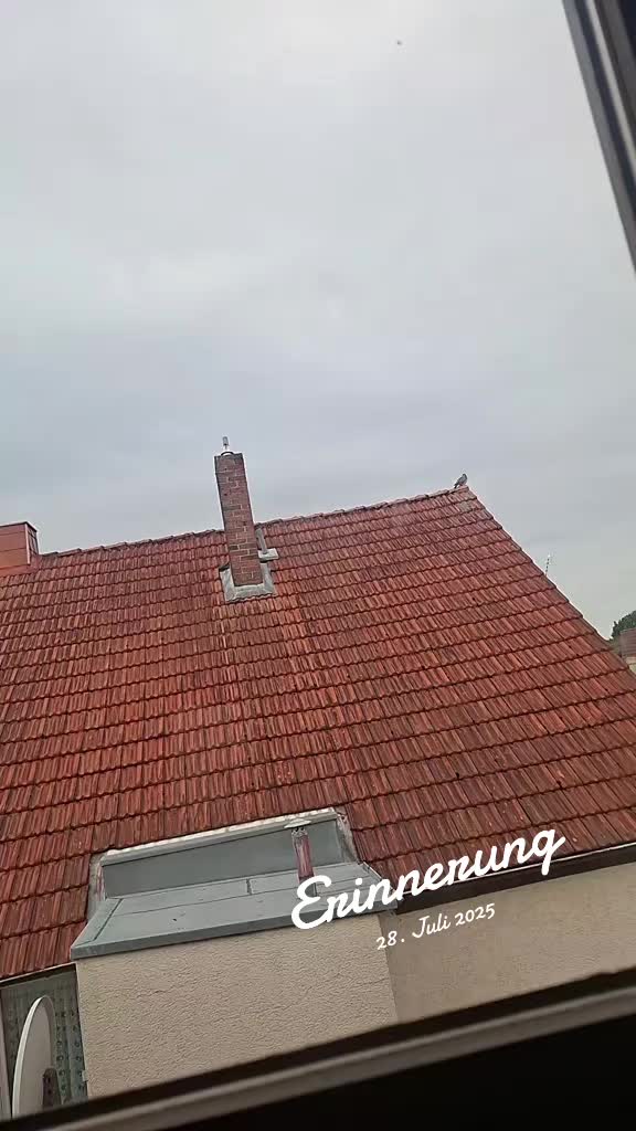 @avin