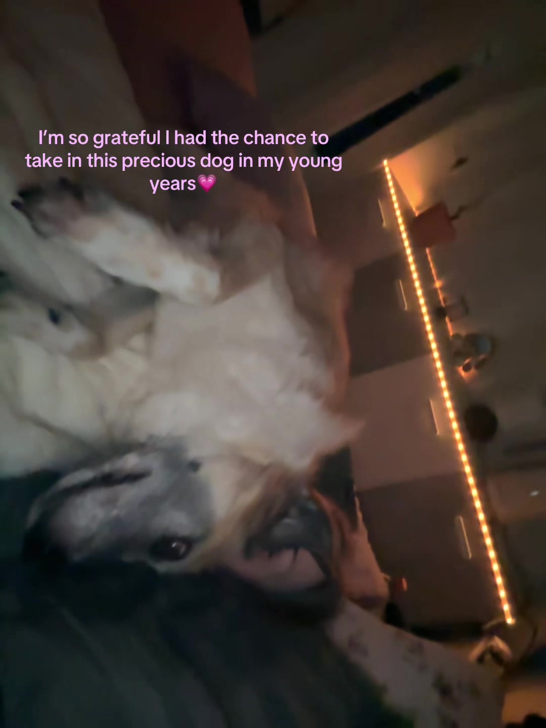 @Mimi