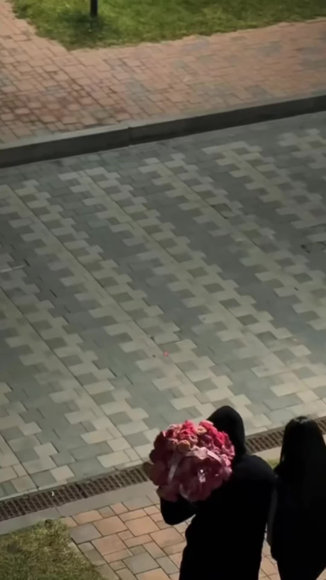 @anii16782