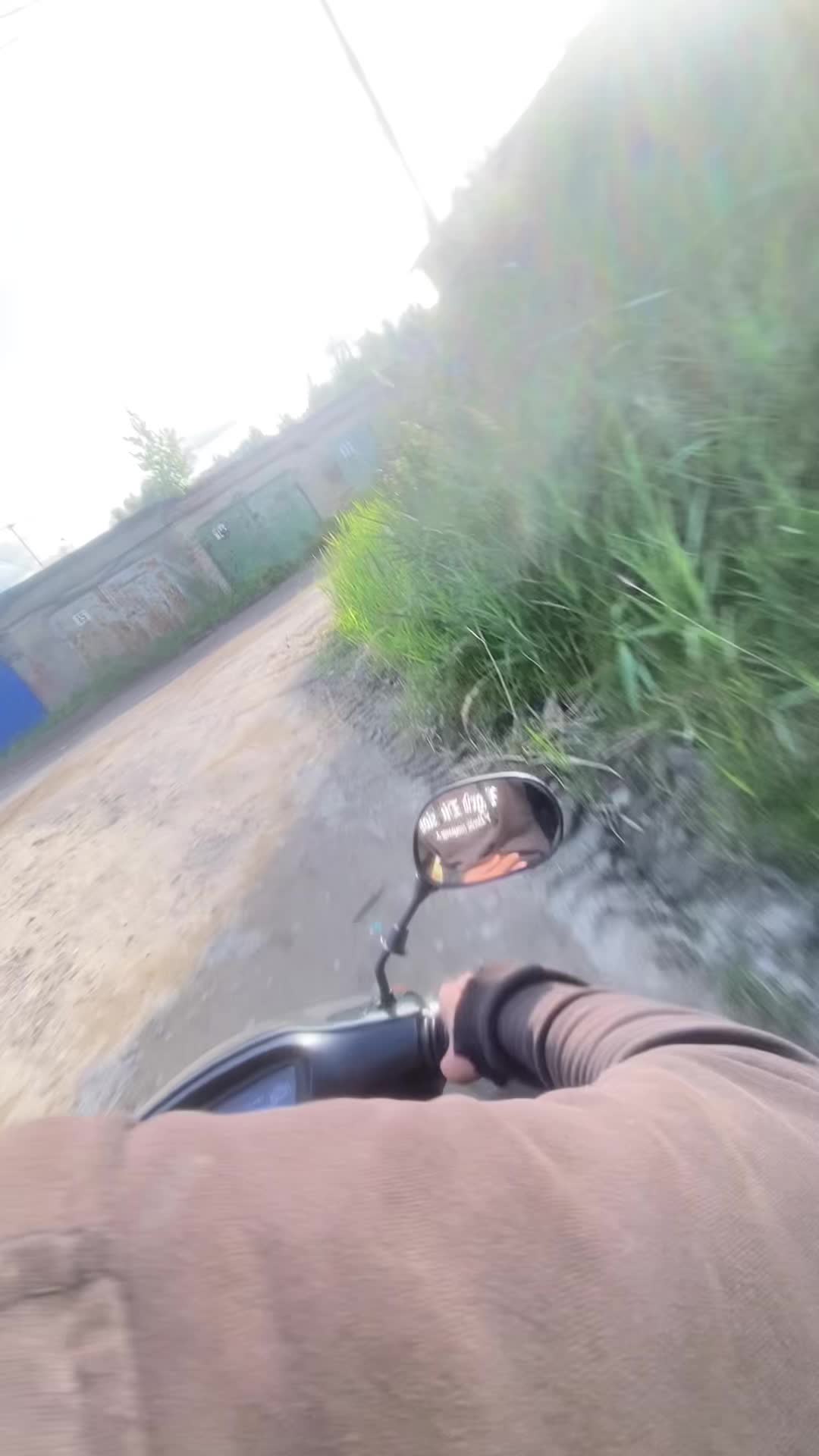 @🌿