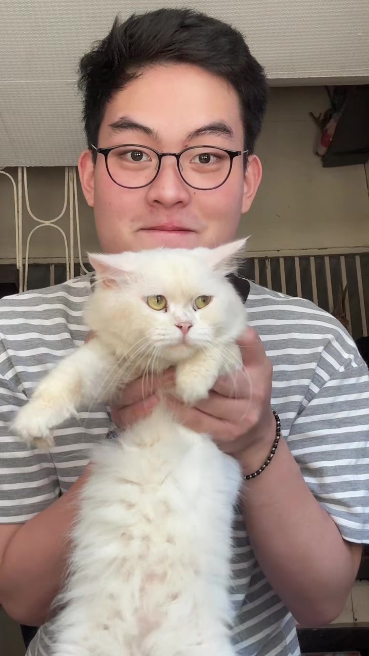 @𝗚𝗠𝗢