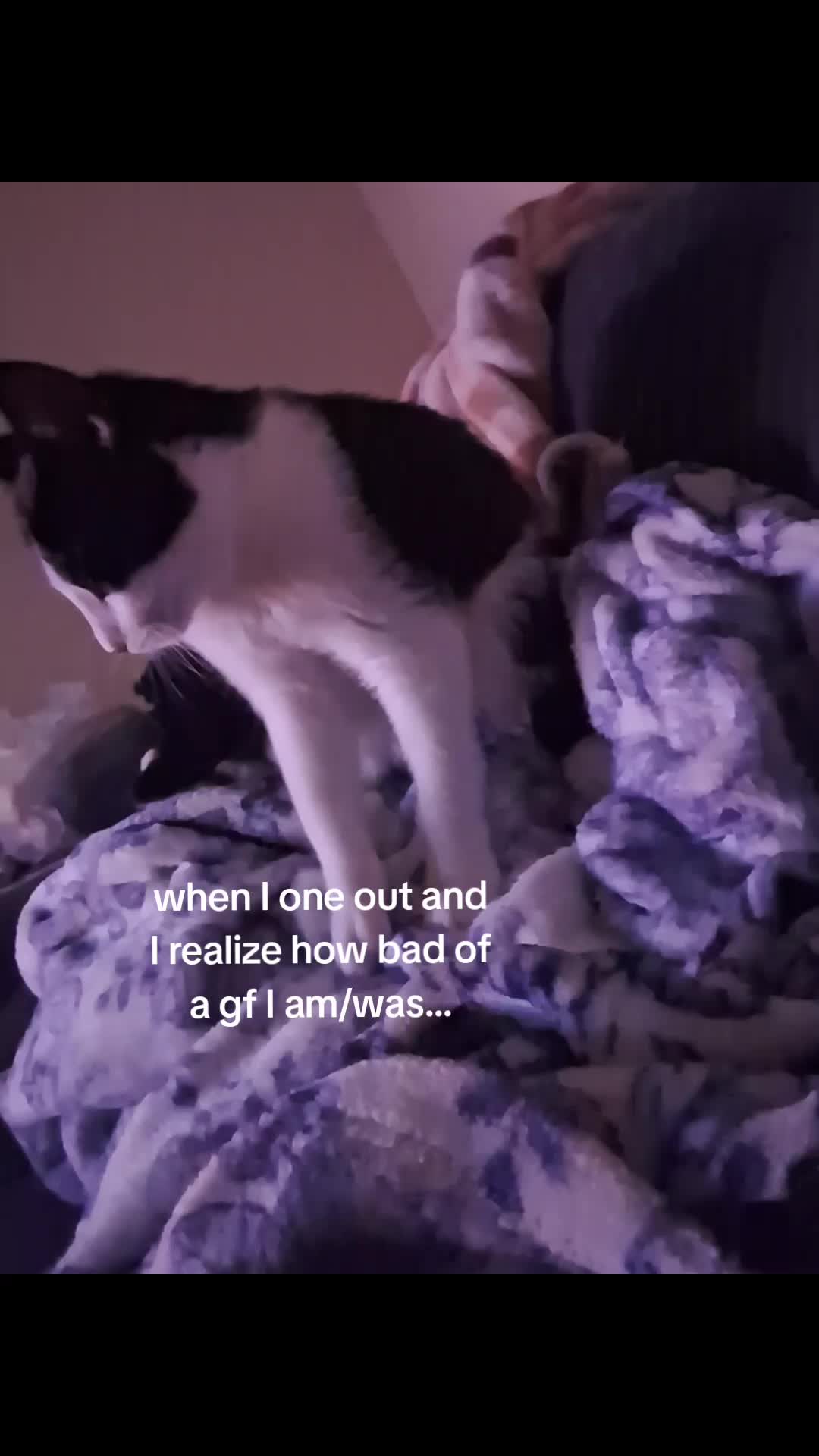 @Ayla_the_rat🐀🐀