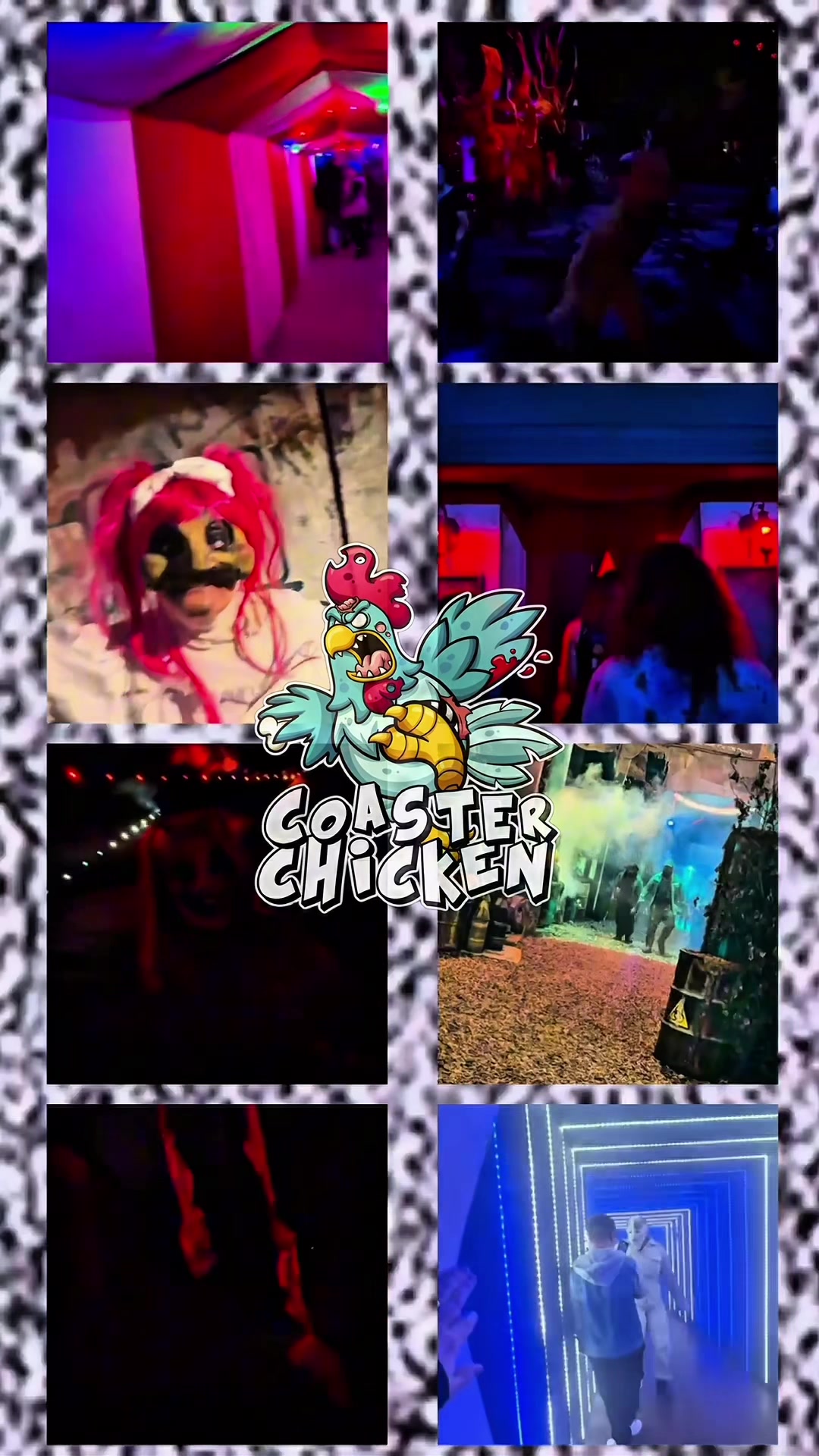 @Coaster Chicken