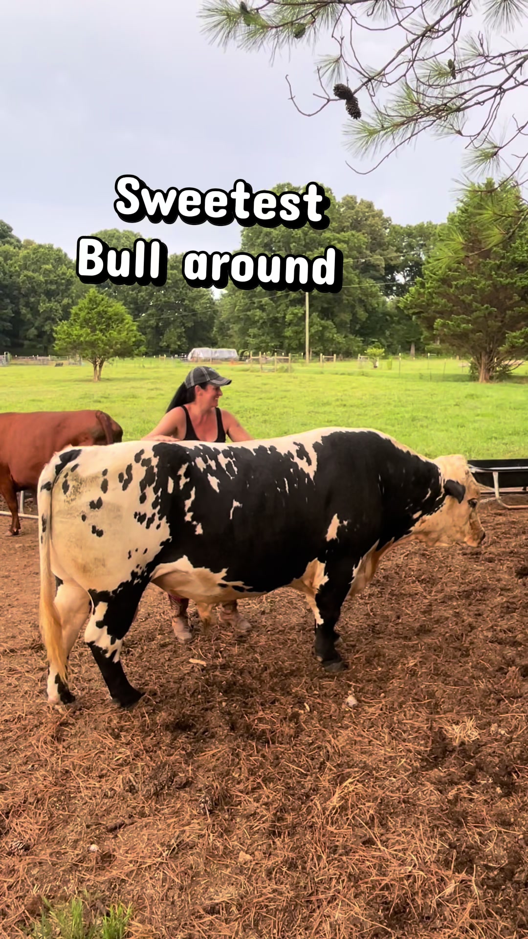 @Georgia Farm Girl