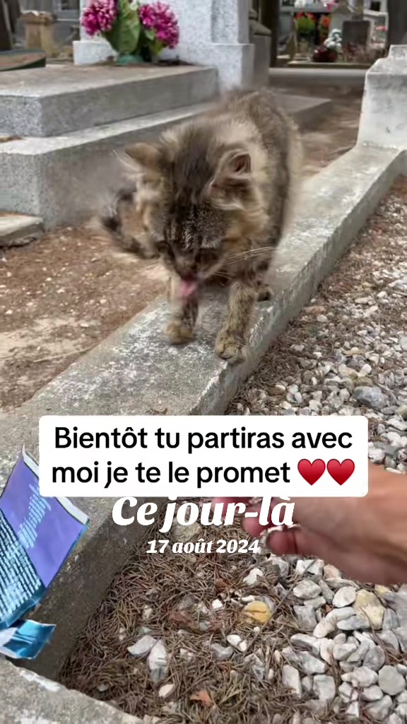 @LoTilia__
