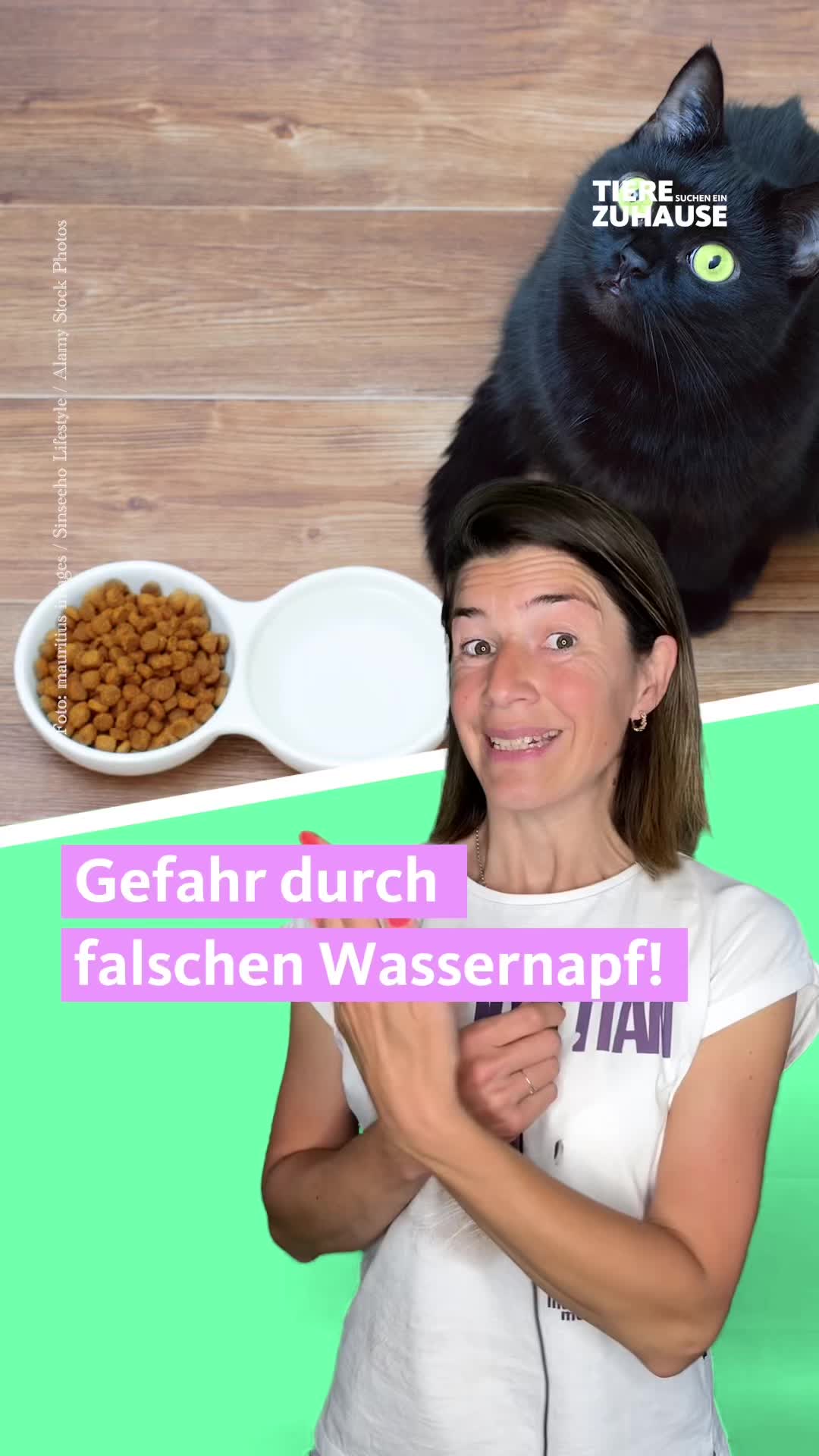 @Tiere suchen ein Zuhause
