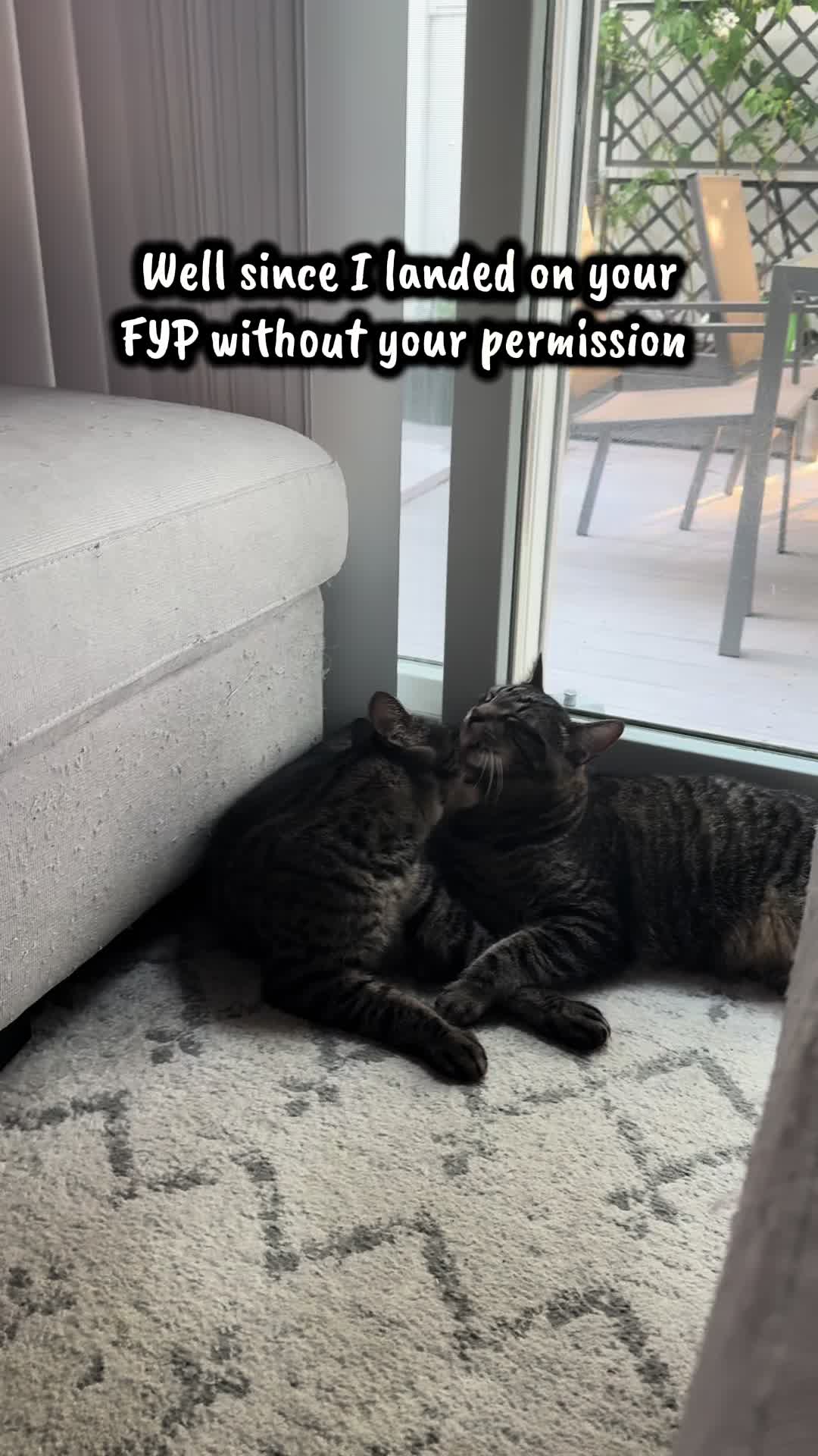 @TailsandWhiskersCo