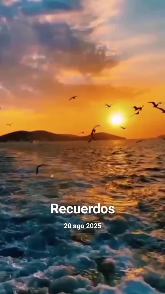 @Jose Alvarado
