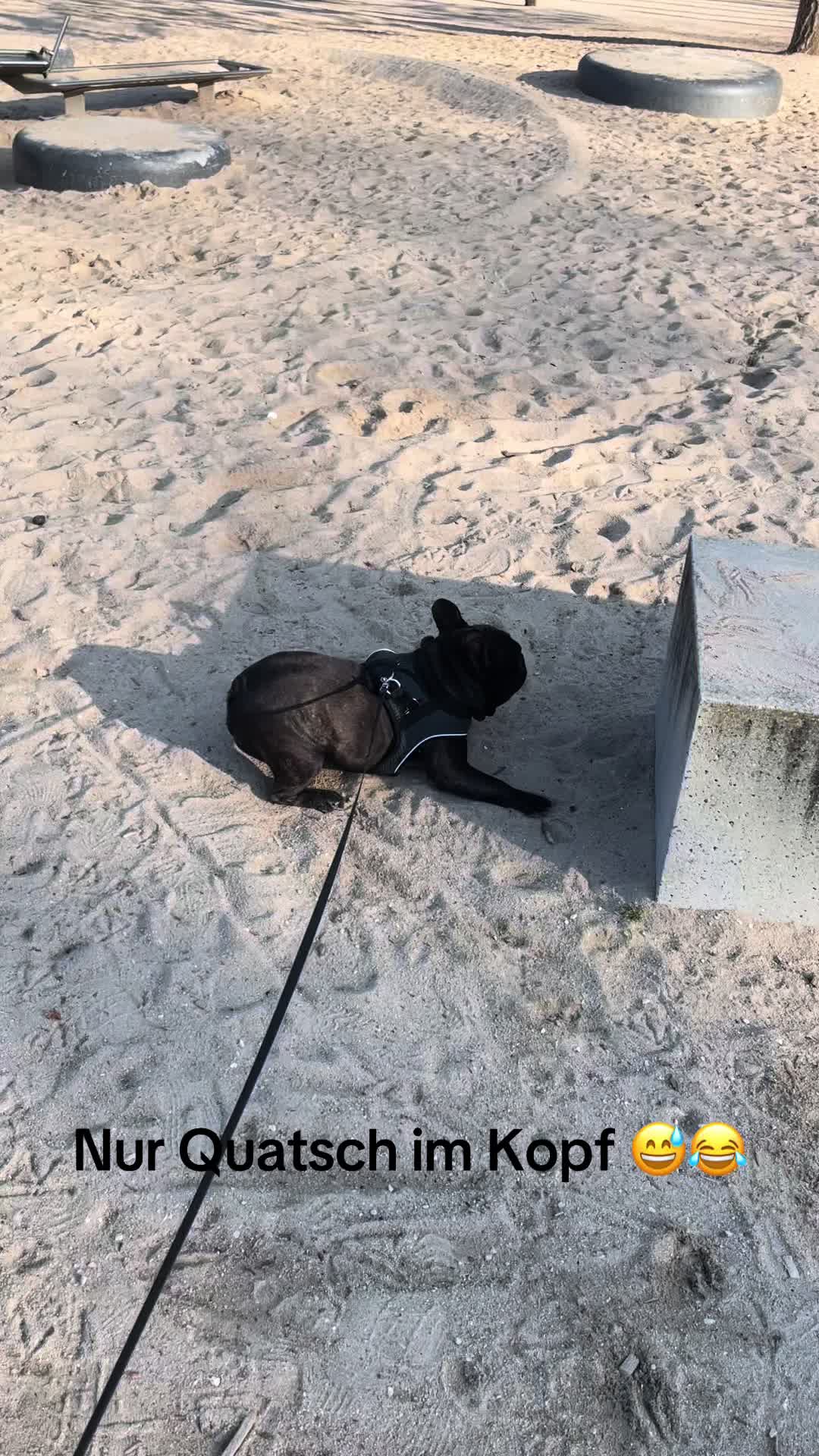 @❥𝓛𝓪𝓾𝓻𝓪