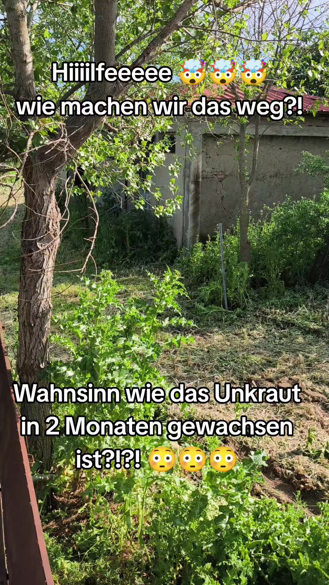 @anastasiaergenekon