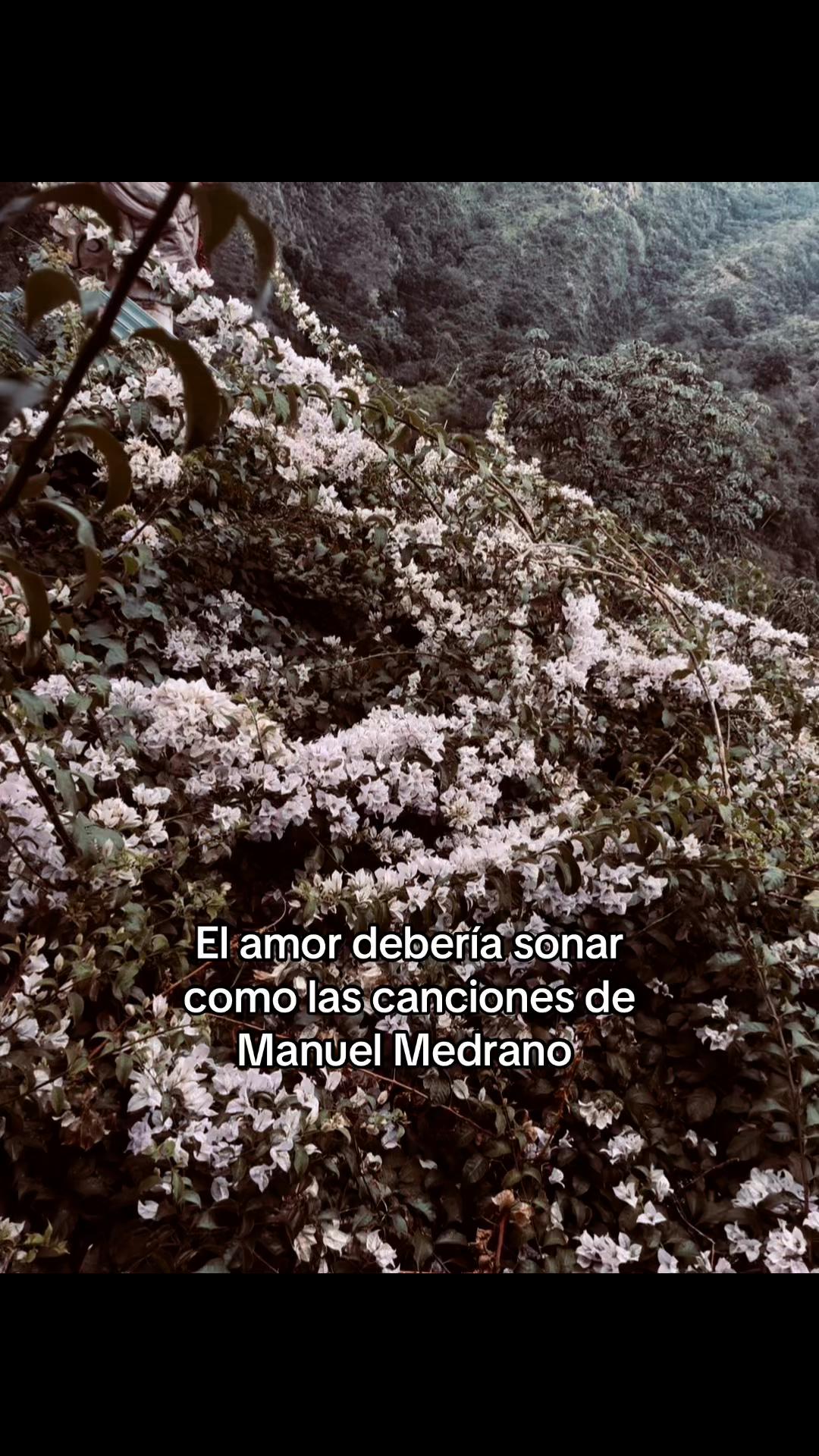 @𝐓𝐚𝐧𝐢𝐚✨