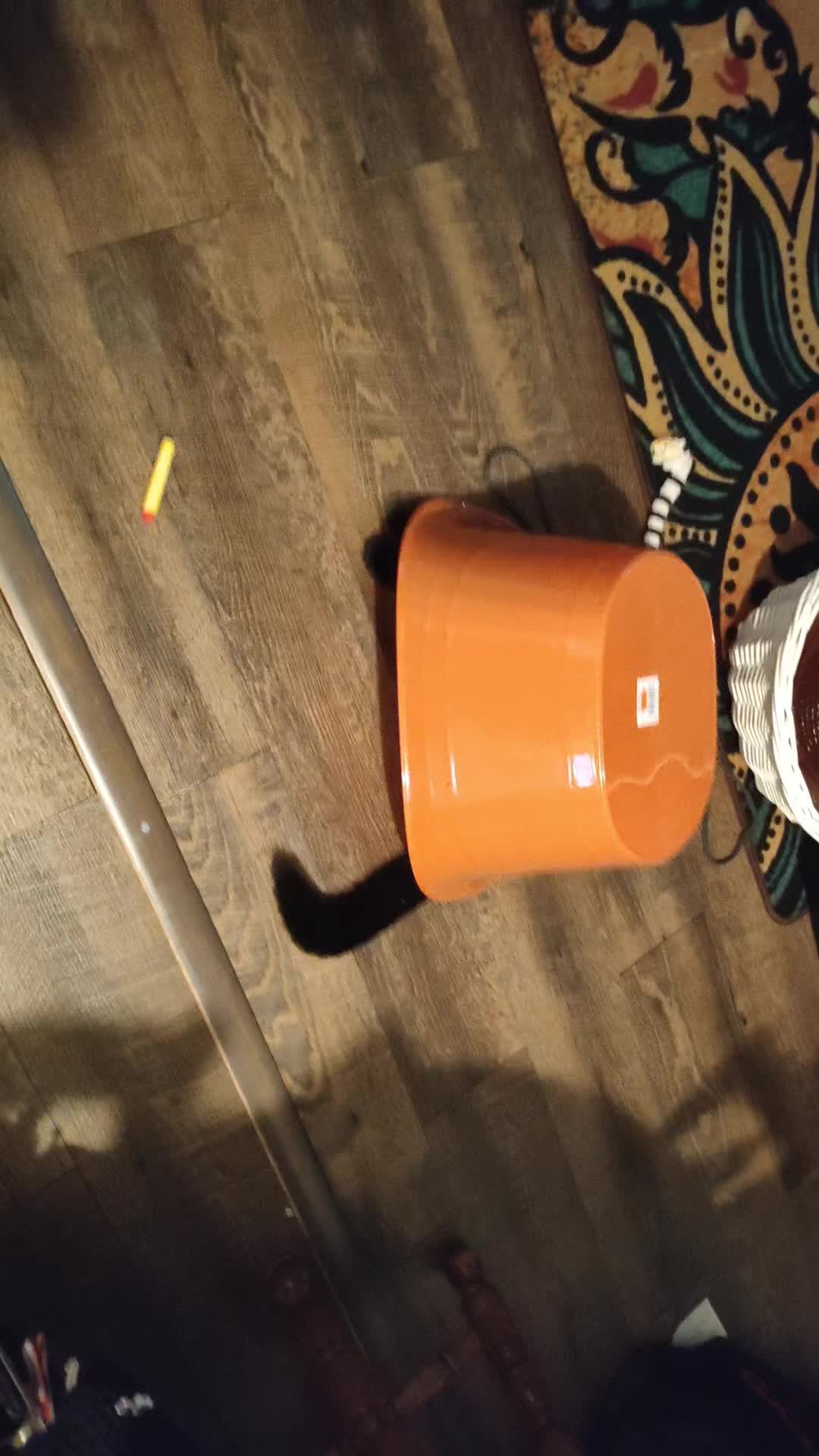 @queeerpumpkin