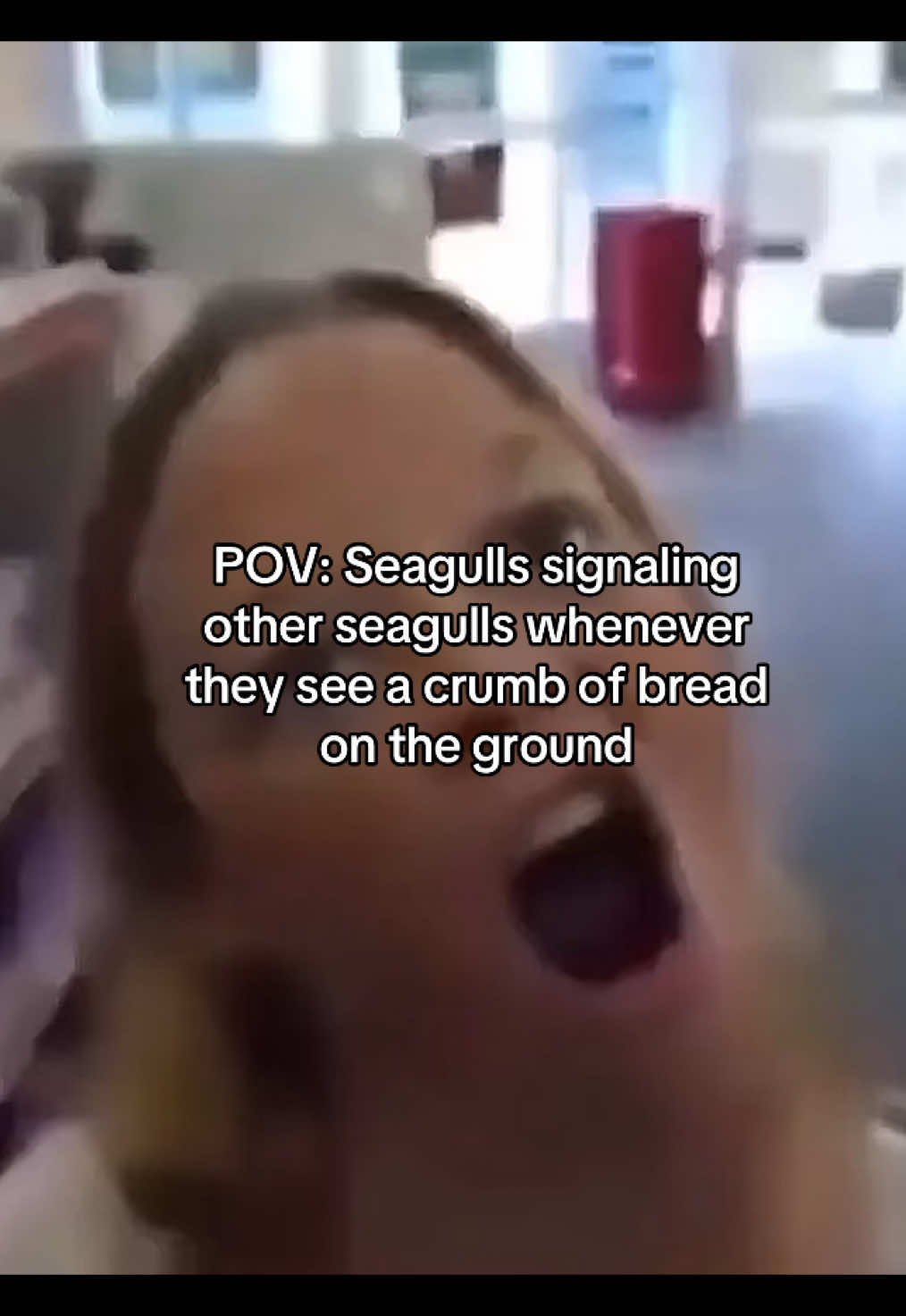 @seifsworld