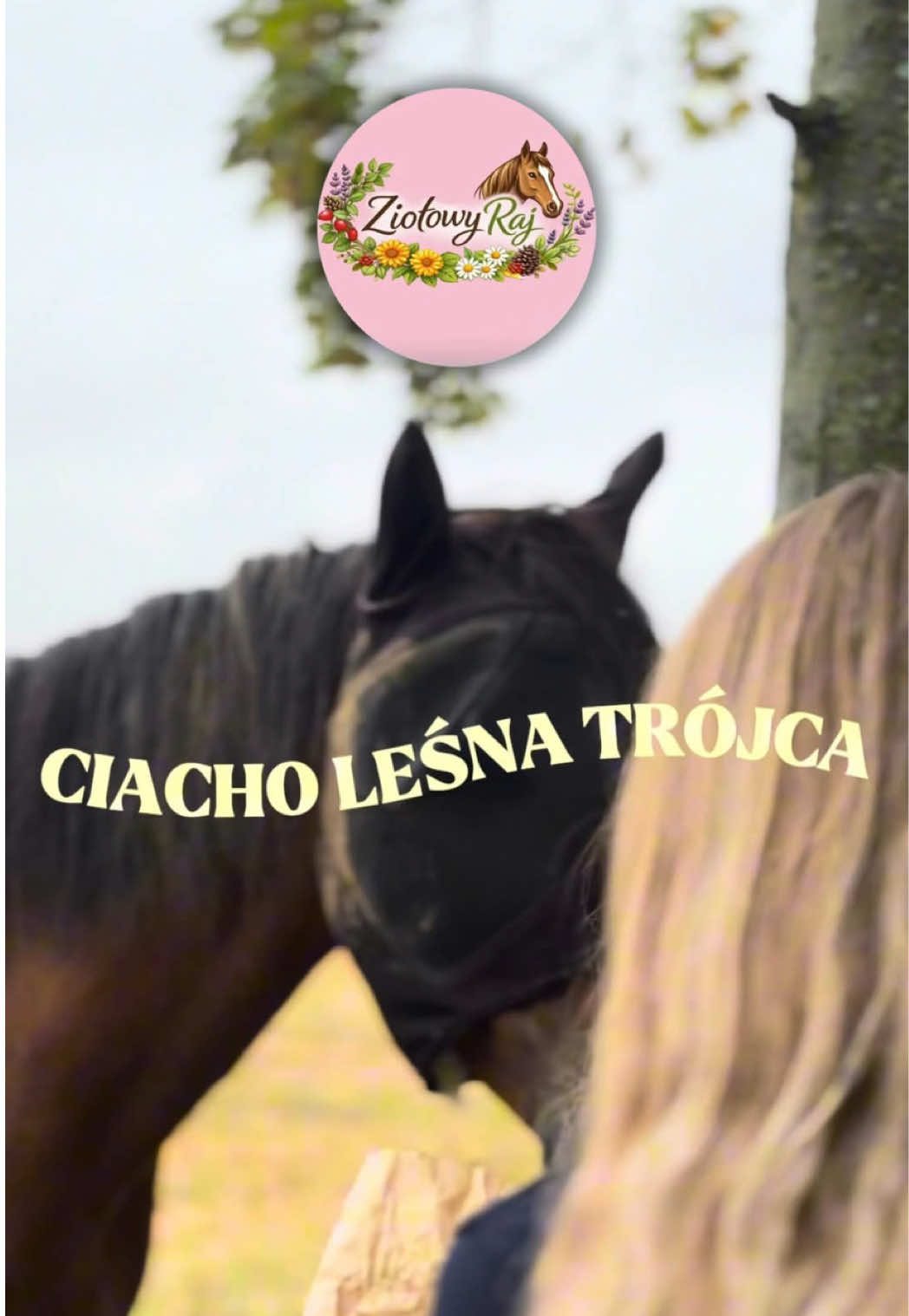 @Harmonia Jeździectwa