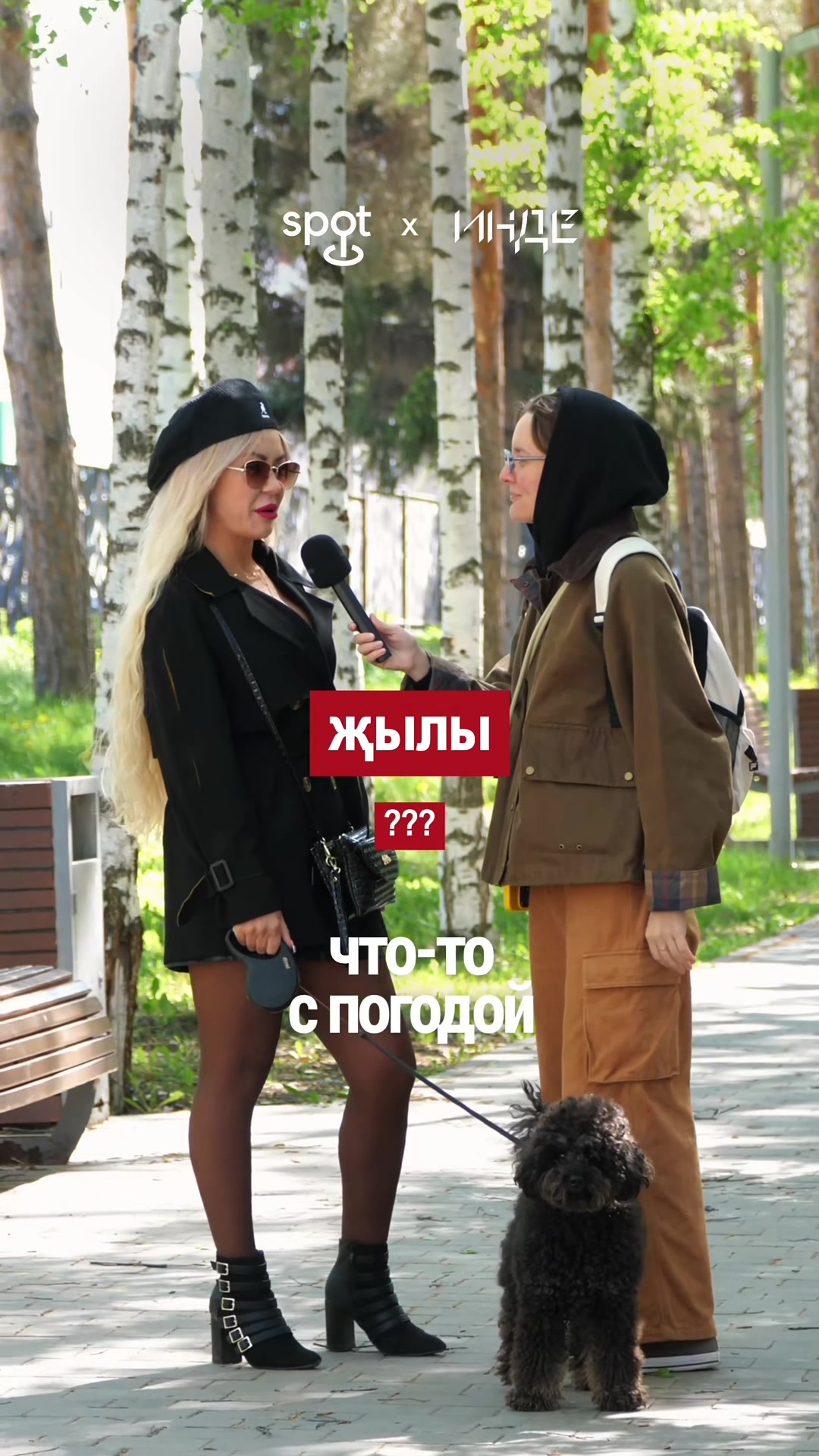 @Спот Альмет