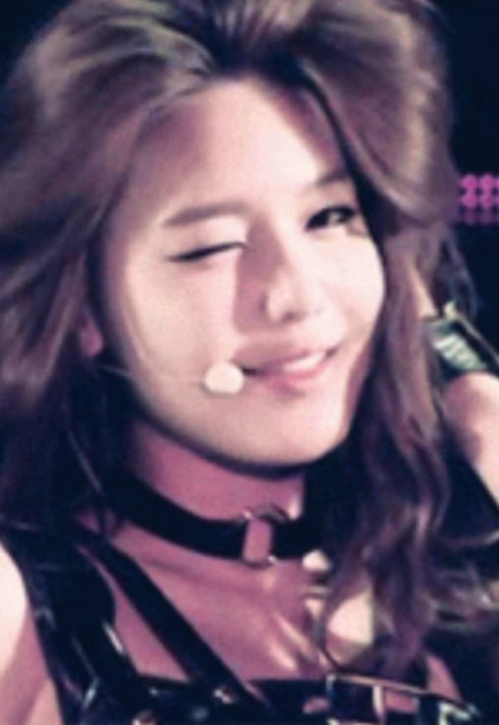 @soneyeoshidae