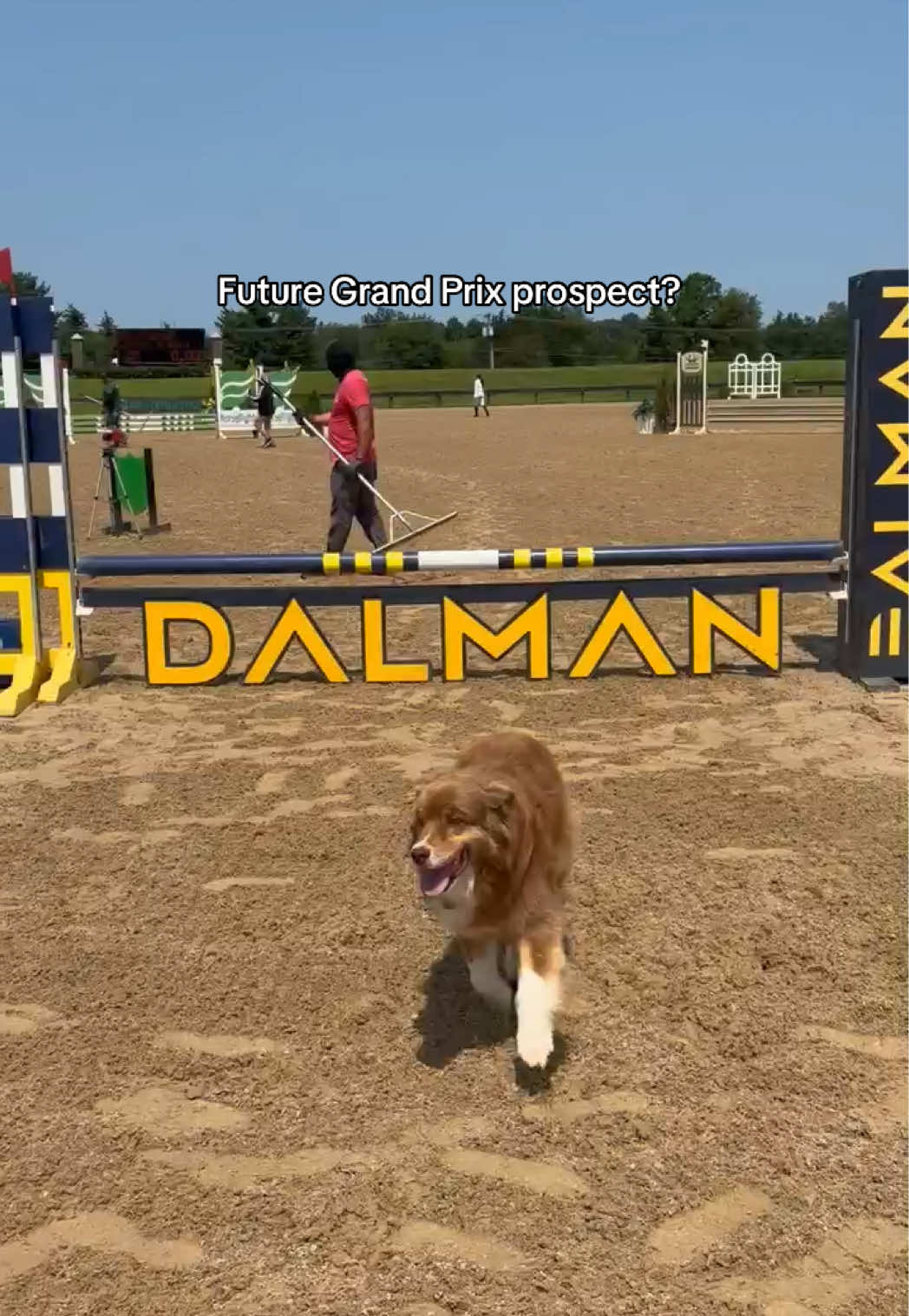 @Dalman Jump Co