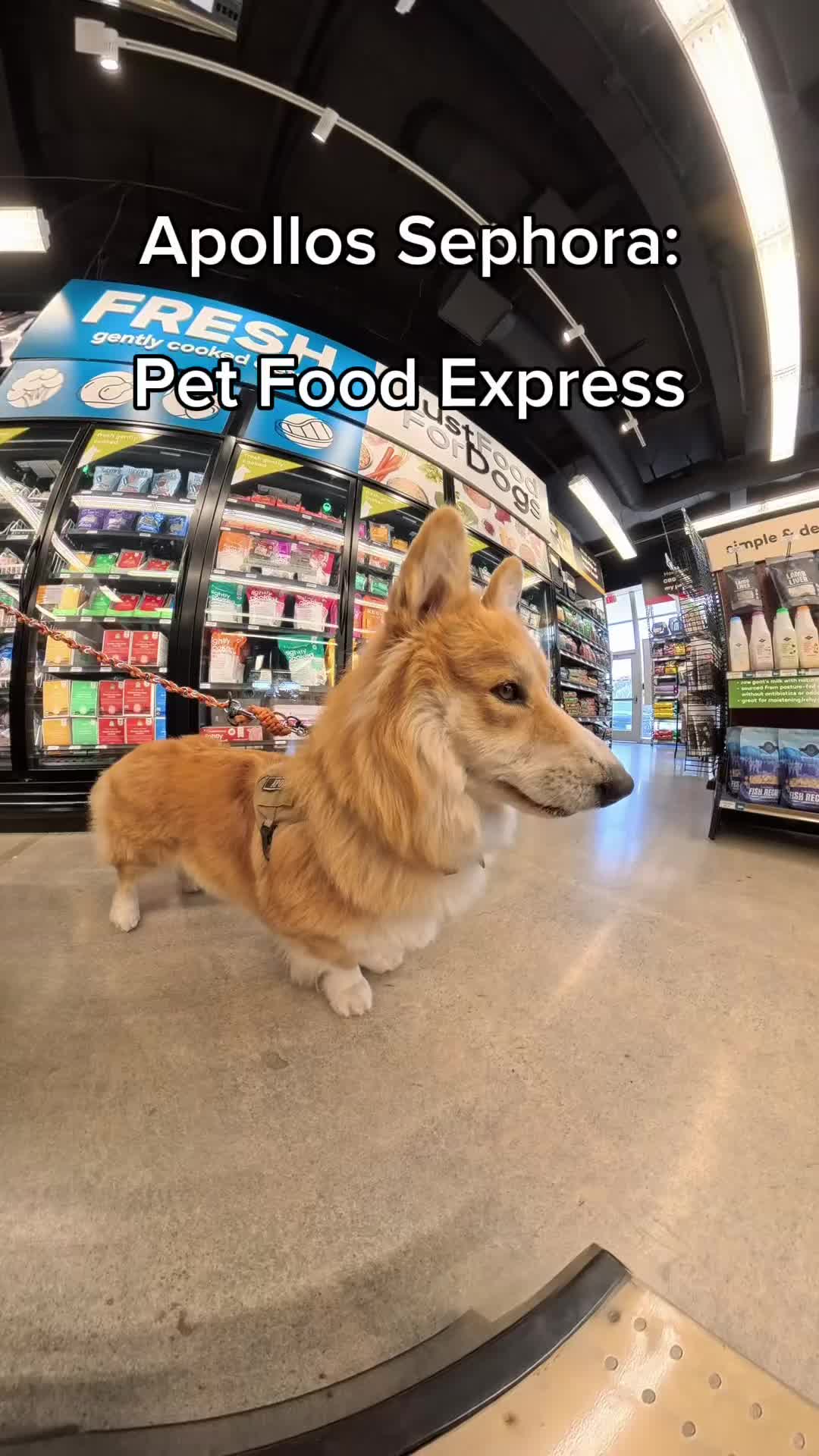 @Pet Food Express
