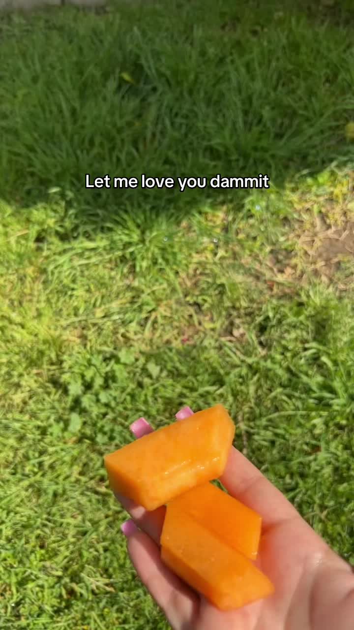 @BeesKneez13x