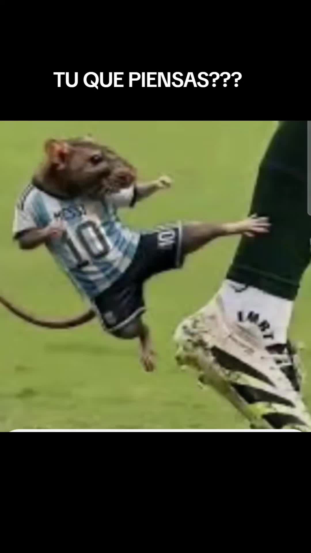@Latino Velmor