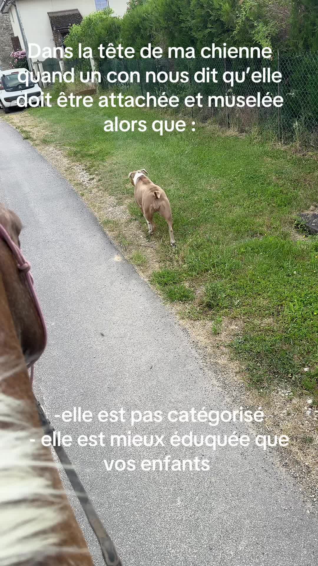 @noria