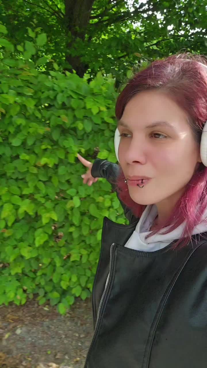 @𝒟ℯ𝓋𝒾𝓁